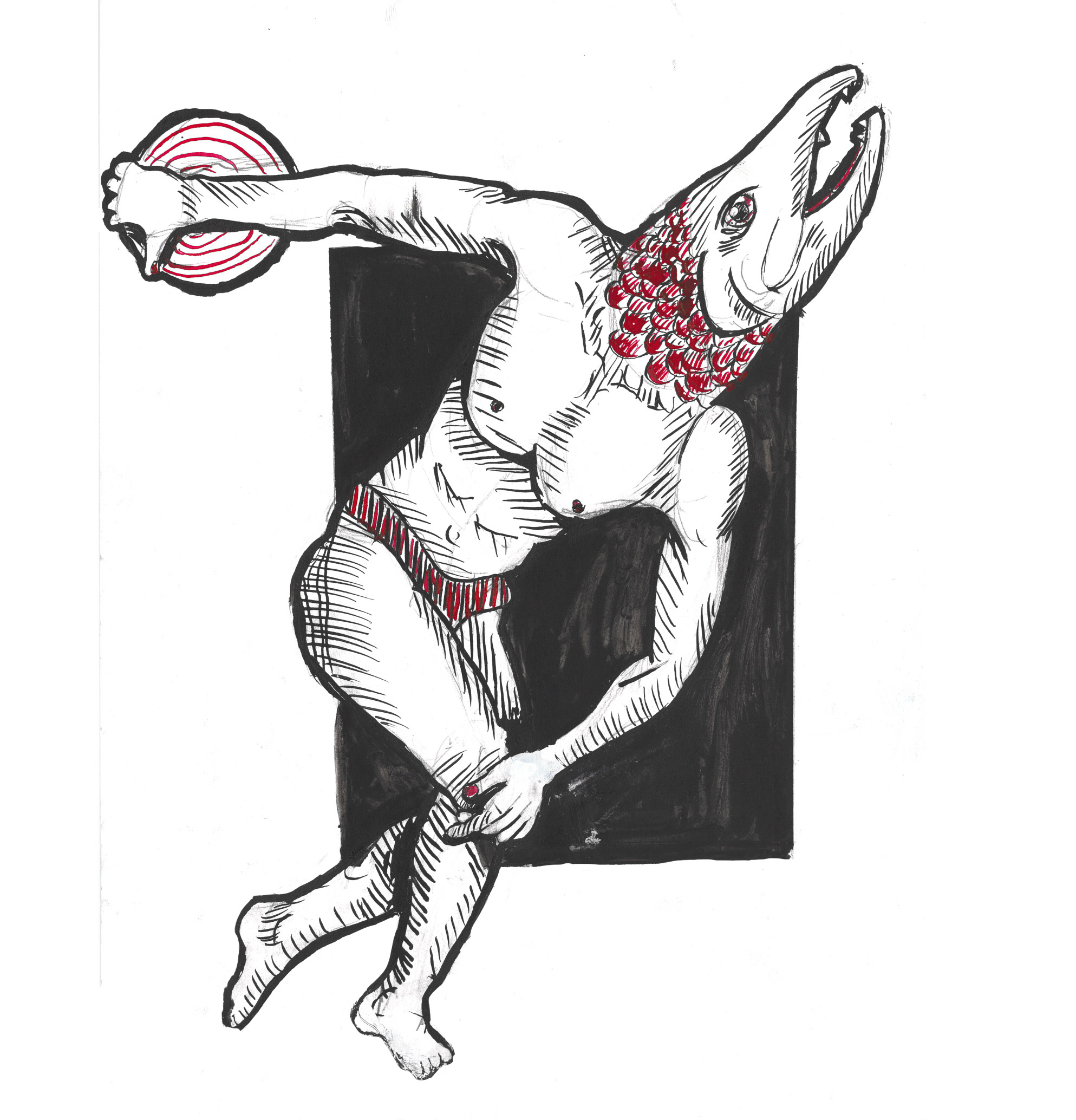A sockeye salmon illustration